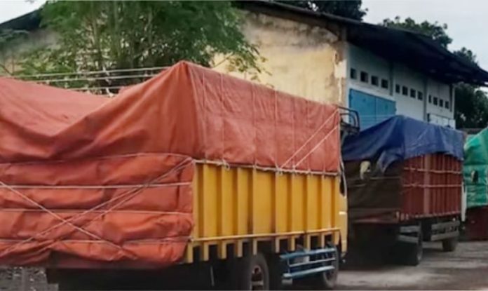 truk timah ilegal