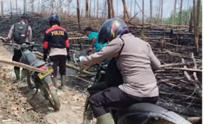 Ketua Umum Badan Peneliti Independen Kekayaan Penyelenggara Negara & Pengawas Anggaran Republik Indonesia (BPI KPNPA RI), Rahmad Sukendar, angkat bicara terkait maraknya Pelaku Perusakan Hutan di kawasan  Taman Nasional Tesso Nilo (TNTN), Riau. Ia mendesak aparat penegak hukum untuk bertindak tegas tanpa kompromi.