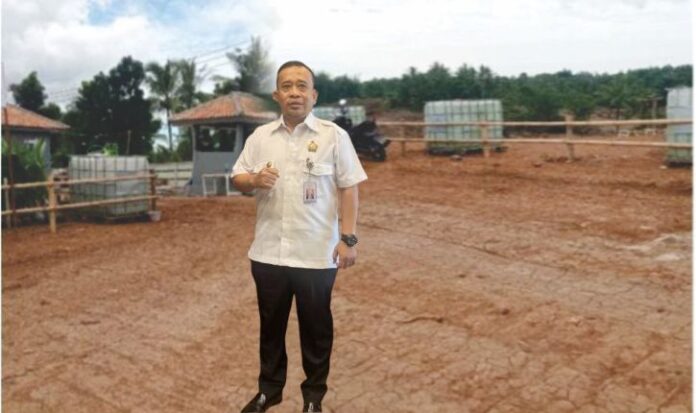 Mafia Tanah