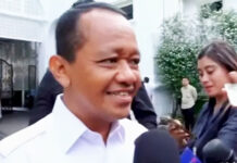 Transformasi Energi Dimulai: Prabowo-Bahlil Matangkan Proyek PLTS Raksasa Transformasi Energi Dimulai: Prabowo-Bahlil Matangkan Proyek PLTS Raksasa